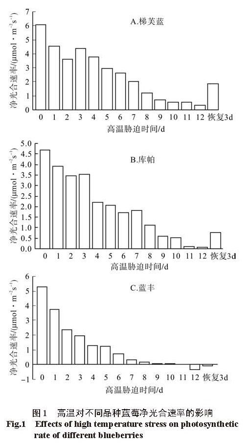 图1 高温对不同品种蓝莓净光合速率的影响 <br/>Fig.1 Effects of high temperature stress on photosynthetic rate of different blueberries
