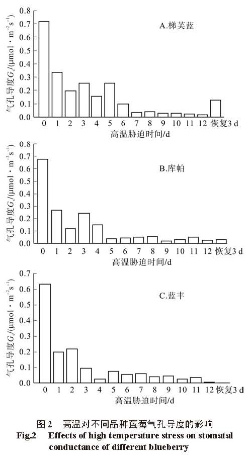 图2 高温对不同品种蓝莓气孔导度的影响 <br/>Fig.2 Effects of high temperature stress on stomatal conductance of different blueberry
