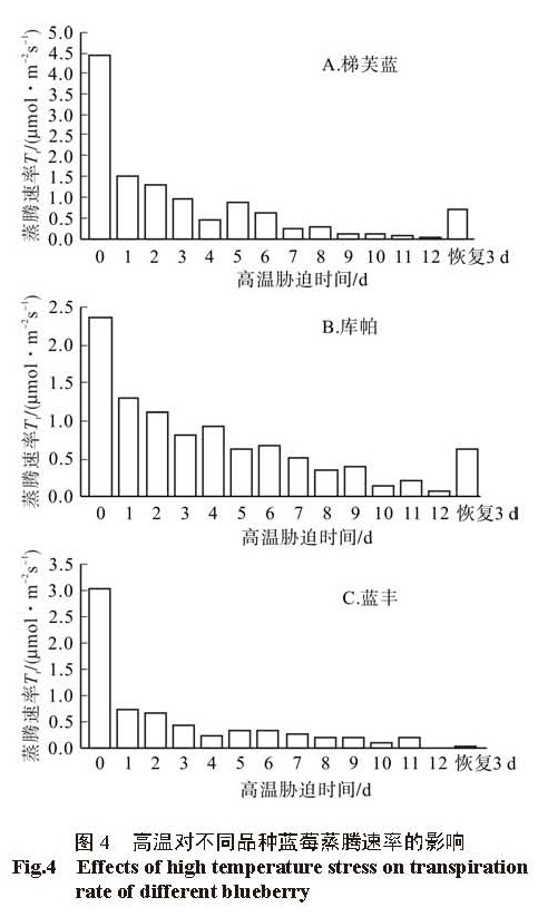图4 高温对不同品种蓝莓蒸腾速率的影响 <br/>Fig.4 Effects of high temperature stress on transpiration rate of different blueberry